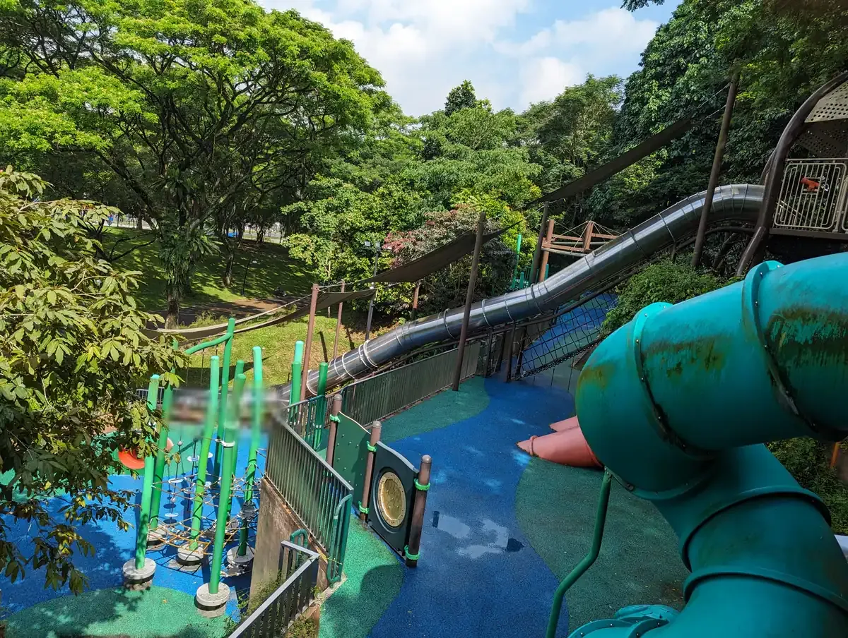 The hillside tube slides running down the slope at Admiralty Park.
