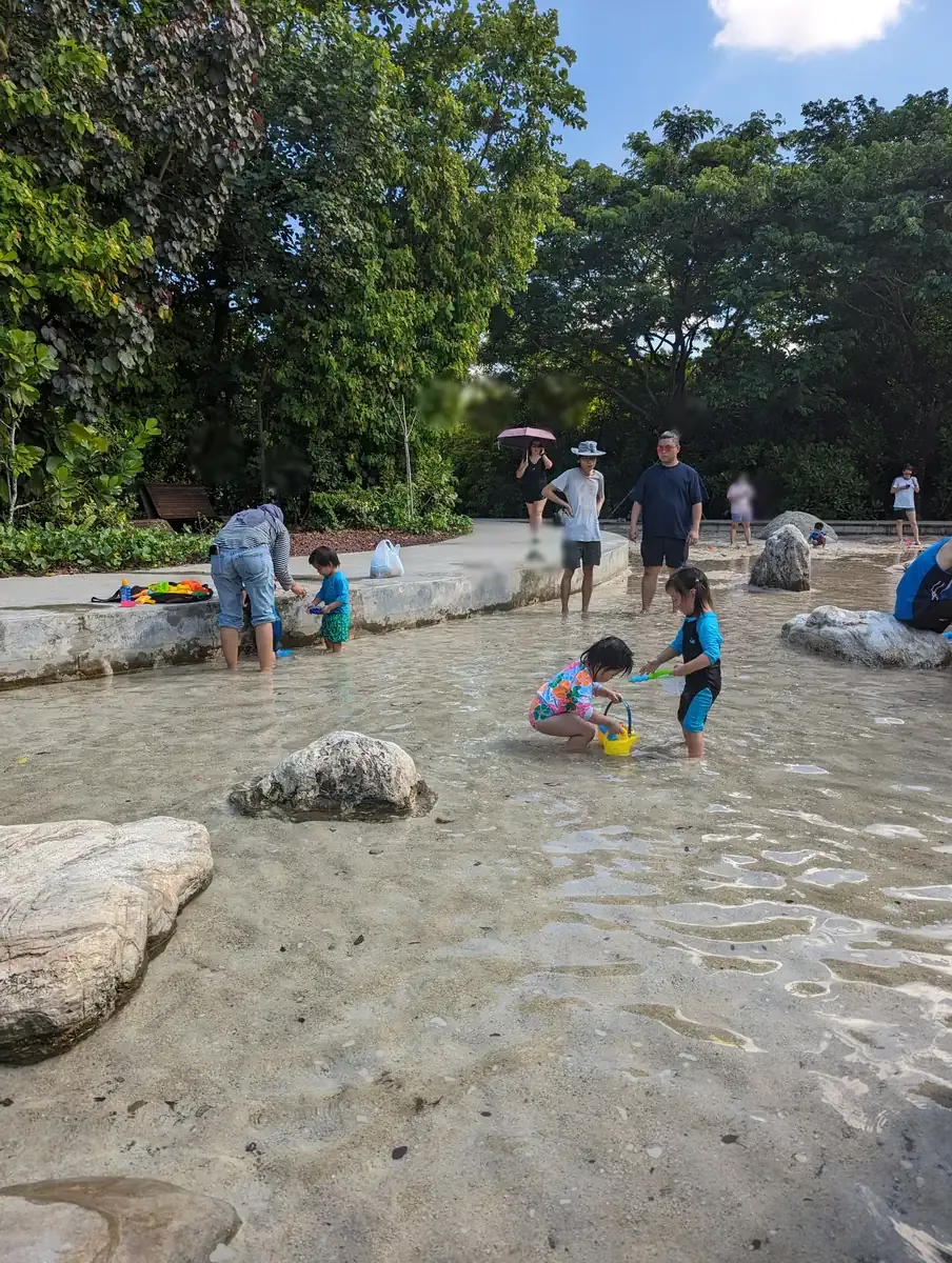 Children playing in the shallow rock stream at Clusia Cove, Jurong Lake Gardens.