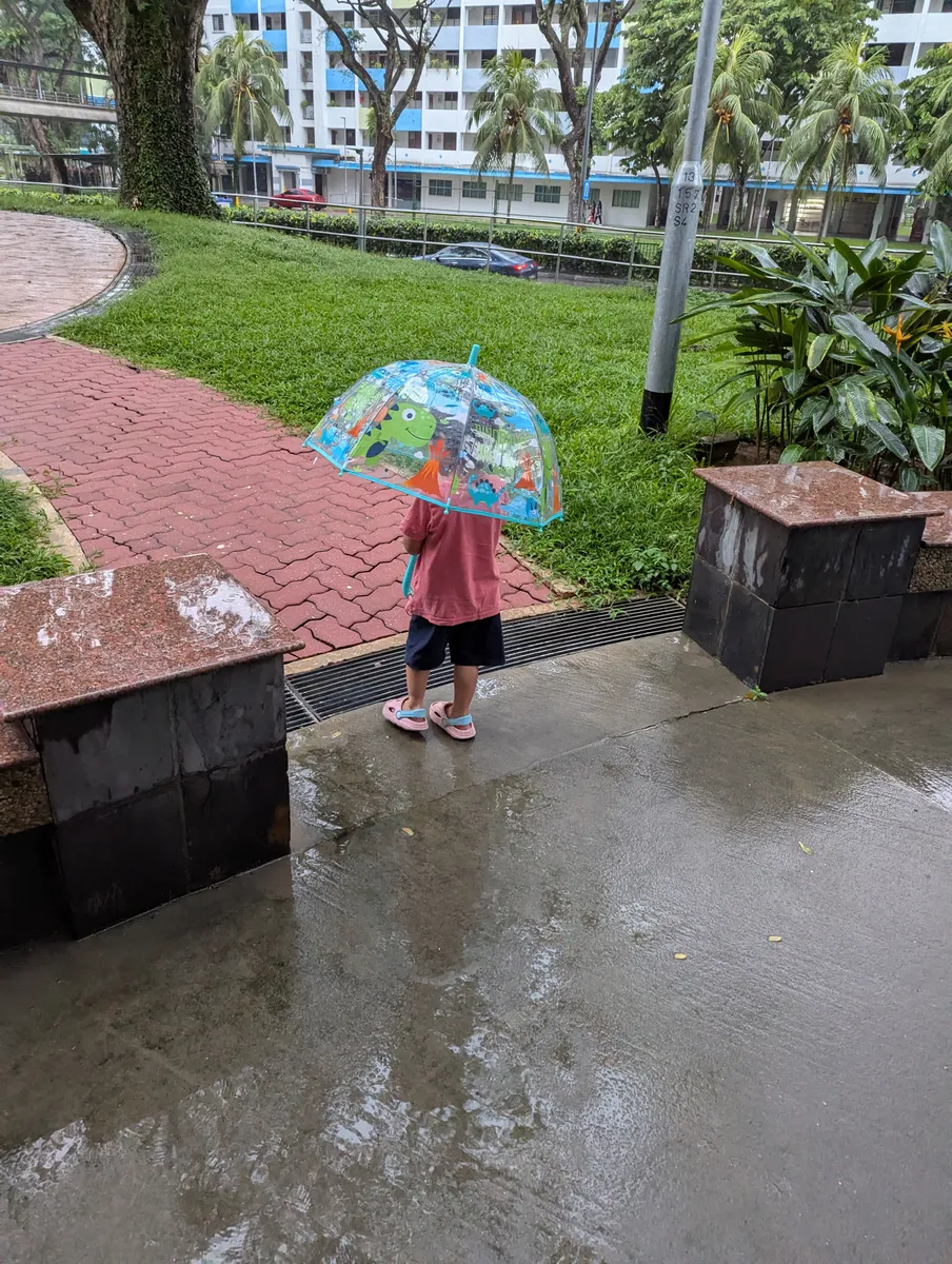 A child with a clear umbrella on a path beside a neighbourhood park on a rainy day.