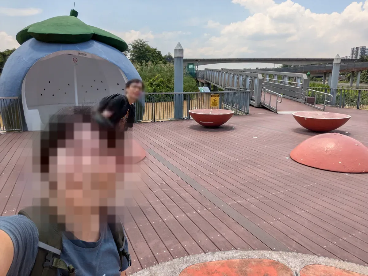 On the boardwalk by the floating wetland at Sengkang Riverside Park.